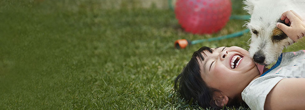 讚助和其他服務