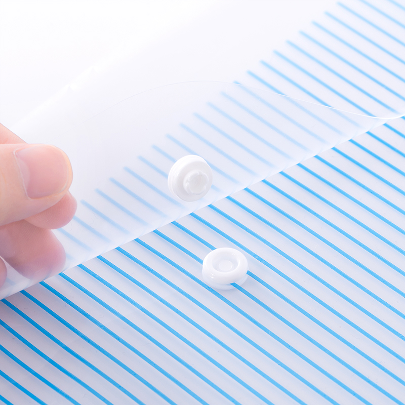 得（dé）力5630文件袋(隻)