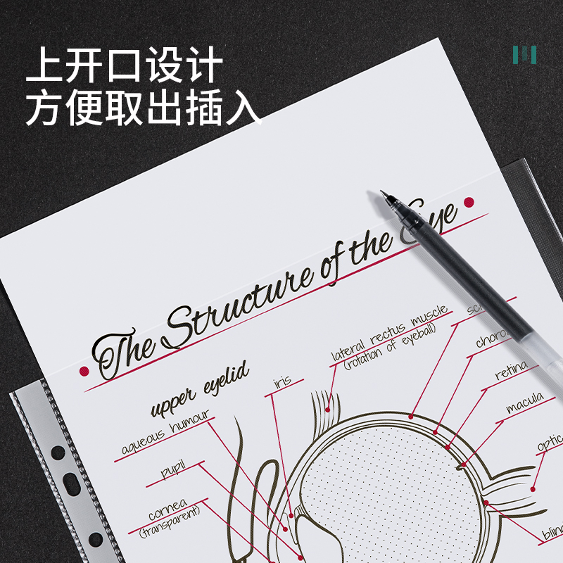 得（dé）力5715_11孔資料袋（dài）(透明)(100個/包)