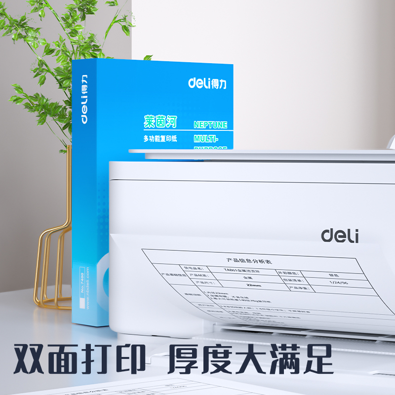 得（dé）力7401萊（lái）茵河複印紙（zhǐ）(A4-70g-5包)(包)