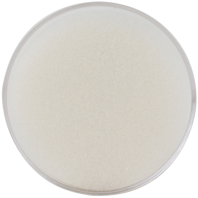 51fun吃瓜（lì）9102海綿缸(透明)(隻)