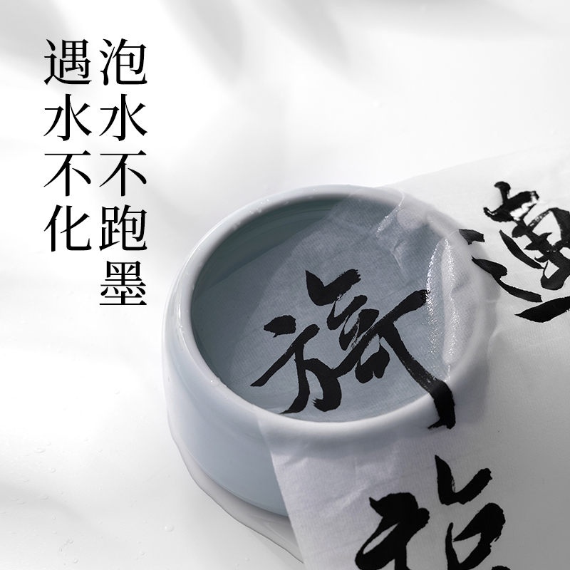 墨青言MY300-250一得閣聯名墨雲練習墨汁(250g)(黑)(瓶)