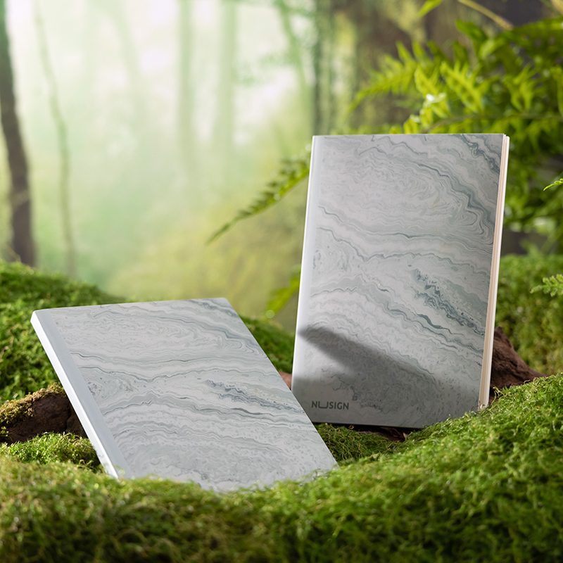 紐賽NS601-C自然流體硬（yìng）麵本A5-210mmx148mm-80張(混)(本)