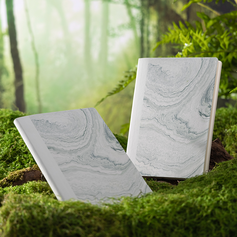 紐賽NS208-C自然流體皮麵本A5-210mmx148mm-96張(混)(本（běn）)