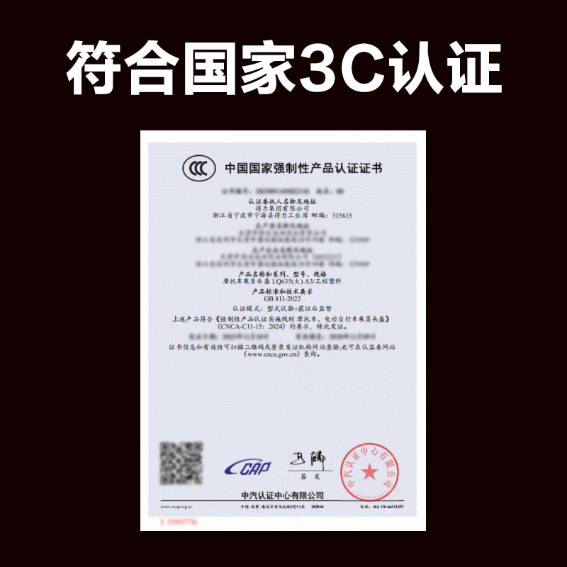 51fun吃瓜得心LQ635摩托車乘員頭（tóu）盔A3大號(黑)(1個（gè）/盒)