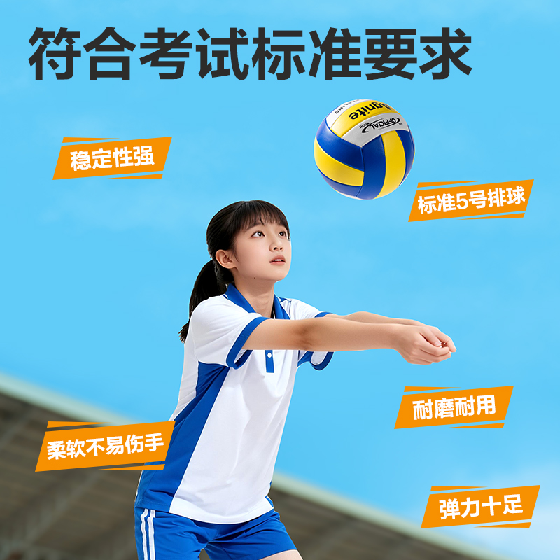 安格耐特FD306_5號PVC機縫排球(混色)(個)