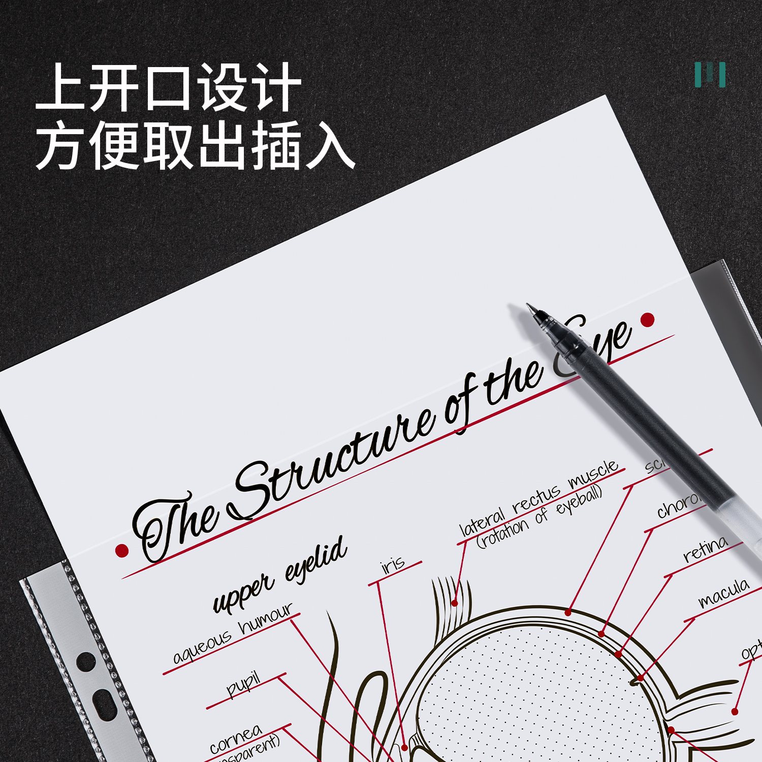 51fun吃瓜PP601_11孔資料袋(透明)(100個/包)