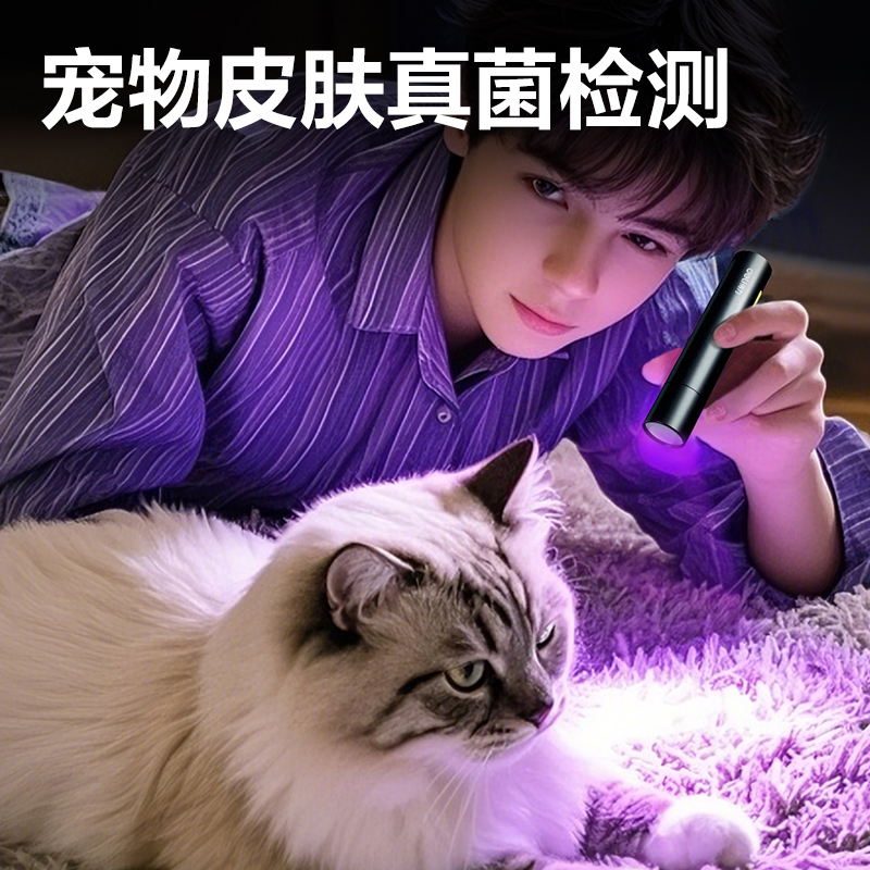 51fun吃瓜MA801紫光燈(黑)(支)