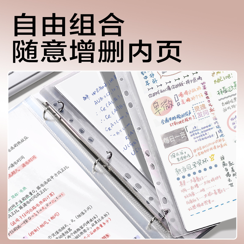 得（dé）力PE136_PP3孔夾(棕（zōng）)(個)