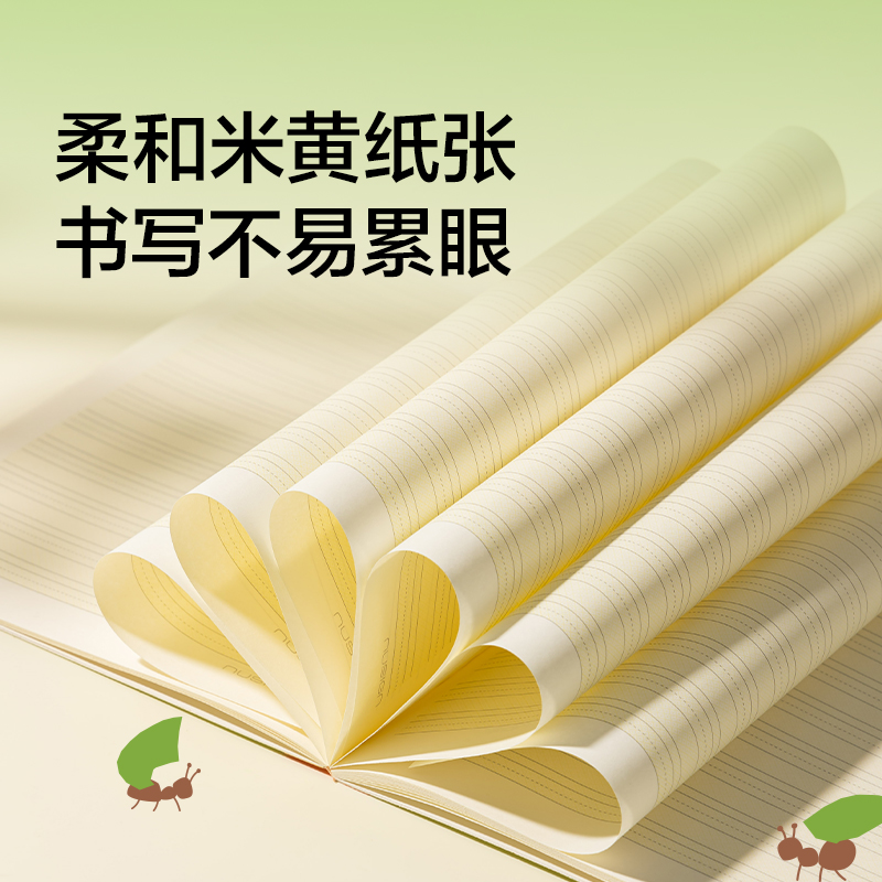 紐賽NS350-F目愈森林科目本A5-30張（zhāng）（漢語（yǔ）拚音（yīn）)(本（běn））