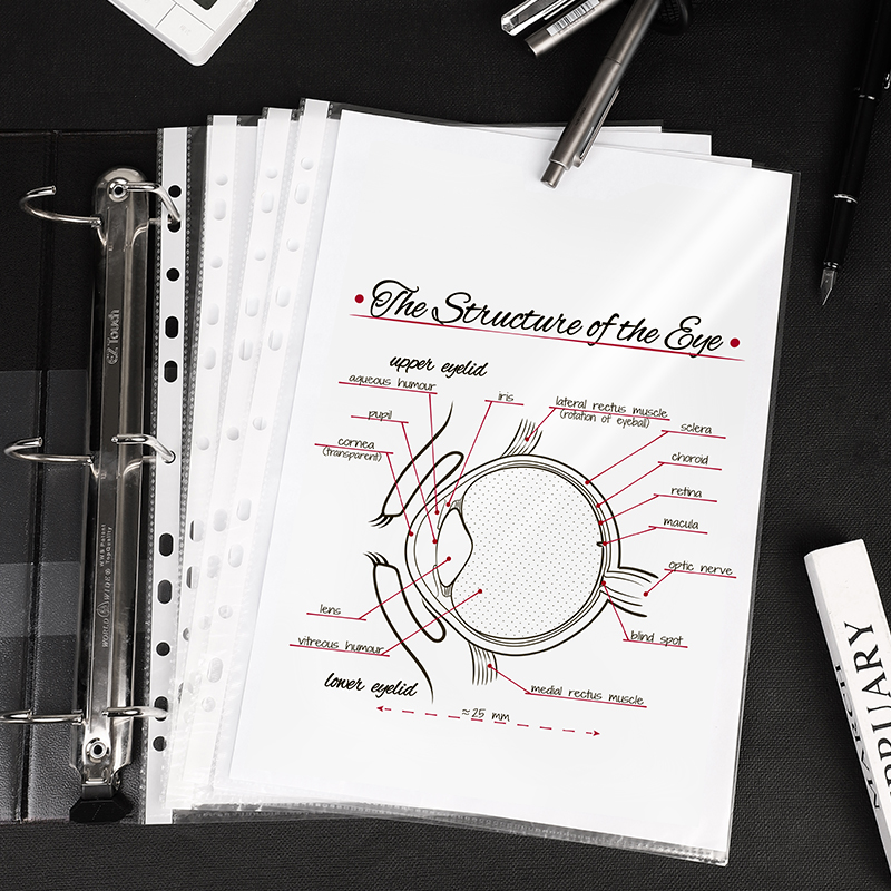 51fun吃瓜（lì）PP602_11孔資料袋（dài）(透明（míng）)(50個/包)